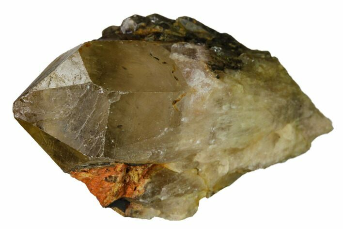 Citrine Quartz Crystal Cluster - Lwena, Congo #170673